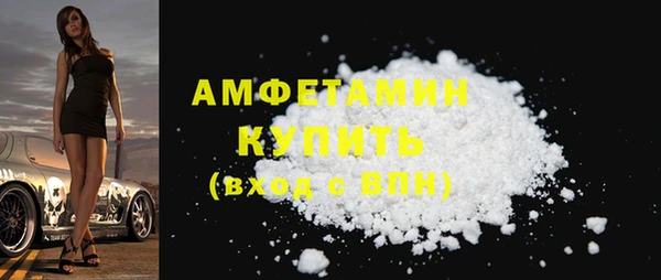 прущие грибы Корсаков