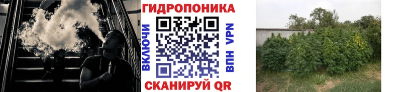 darknet формула  Борзя  Конопля SATIVA & INDICA 